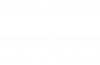 Lingo Turtle New Logo 02